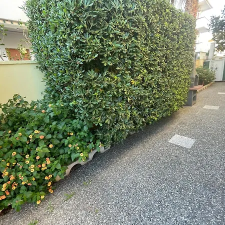 Con Giardino Sul Mare Apartment *